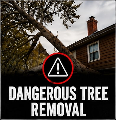 Dangerous Tree Removal