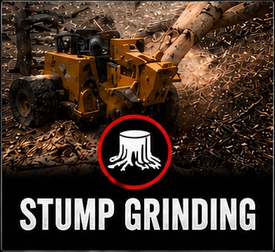 Stump Grinding