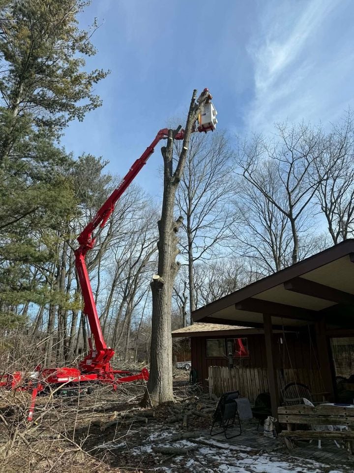 Lift-assisted removal on a tight residential lot