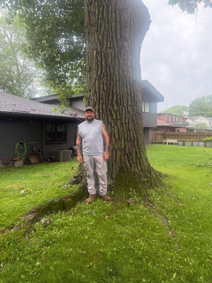 Crew member standing beside an oversized tree trunk