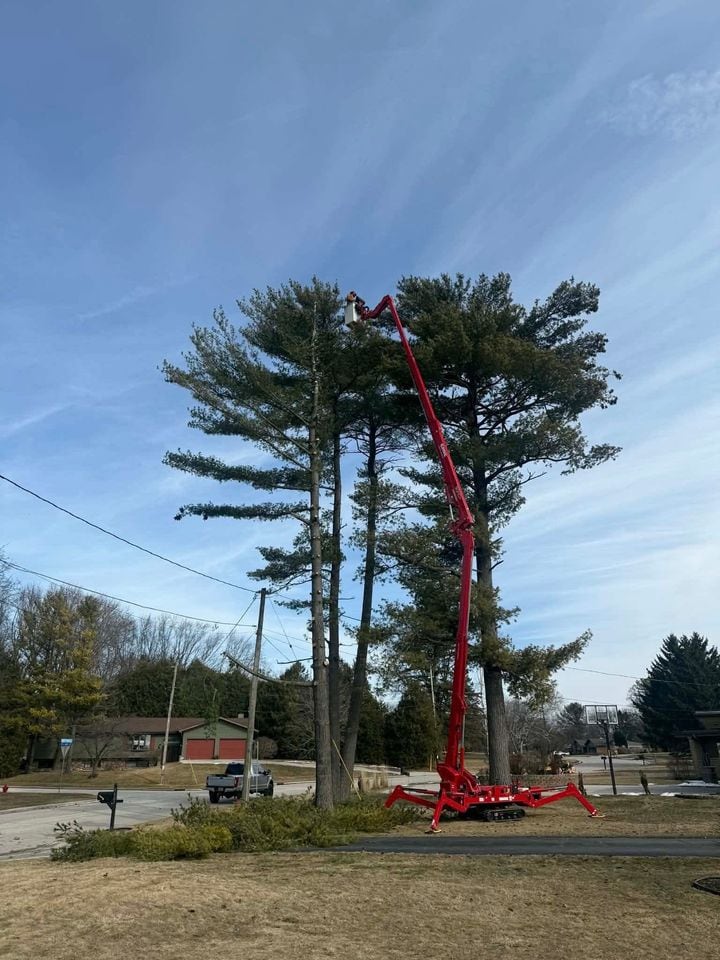 Canopy work from a spider lift